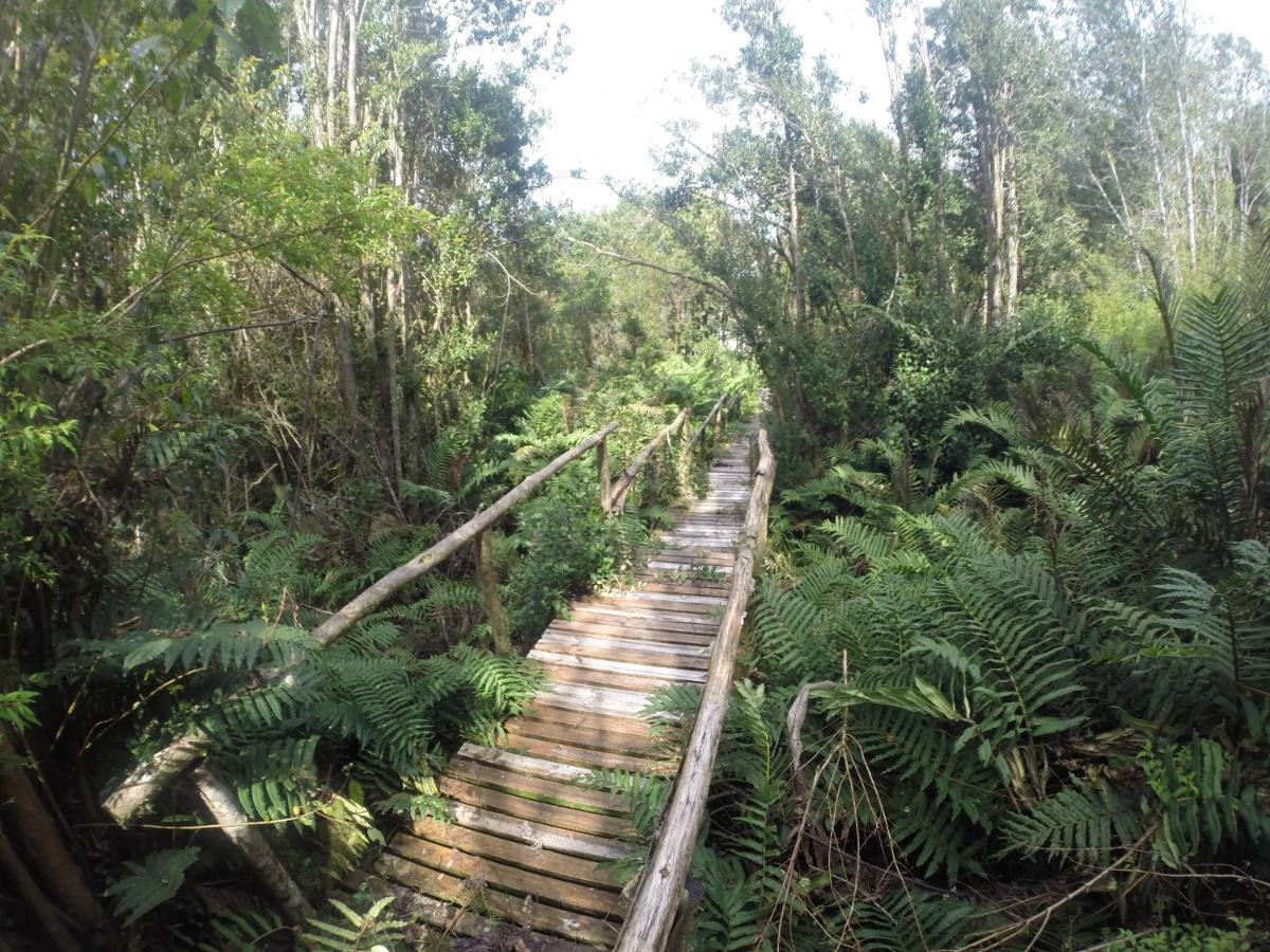 Turismo Del Bosque Lejlighed Castro Eksteriør billede